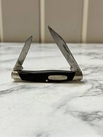 Vintage Buck 309 Companion folding pocket knife displayed open with two blades extended; angled shot showing black handle with metal bolsters and emblem.