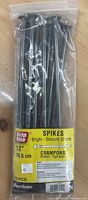 Pack of 10 bright smooth shank spikes in resealable bag with Grip Rite label.