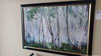 Full view of framed Aspen tree photographic wall art hung on the wall