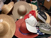 Photo showing six natural straw hats, one red straw hat, and four ball caps including white, black 'Sports', and green caps.