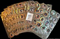 Photo showing all ten clear 3-ring binder pages, each filled with 18 Wayne Gretzky POGs arranged in three rows of six per page.