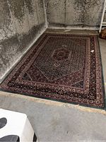 Full view of the area rug laid on a concrete floor with visible fringe detail and pattern.
