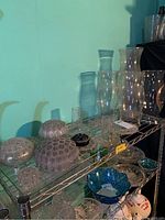 Glass flower frogs and hurricane lamp shades displayed on metal shelves against a light blue wall, showing multiple clear glass items in various shapes and sizes.