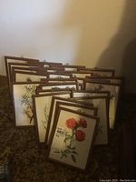 Group photo of 26 framed botanical prints arranged upright showing wooden frames and various floral illustrations, some prints partially faded