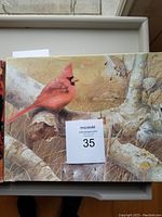 Box cover top showing artwork of Northern Cardinal bird in natural setting and MaxSold lot label.
