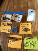 Overview of all lot contents, including necklaces, rings, pins, and pen