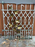 Full front view of wrought iron garden gate leaning against wooden fence
