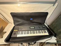 Synthesizer inside open padded black carrying bag, top-down view