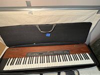 Full view of Yamaha P-120 piano inside black soft carrying bag, showing full 88-key keyboard and wood grain finish top panel.