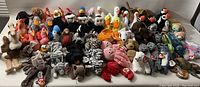 Wide view showing a large assortment of colorful Ty Beanie Babies plush toys, various animals and birds, all new with tags, arranged on a flat surface.