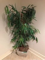 Overall view of the concrete planter containing a tall faux plant with long green leaves placed against a wall corner on a wooden floor.