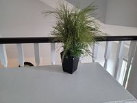 Small artificial green plant with fine leaves in a black square pot placed on white surface.