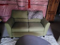 Green loveseat with two cushions and one decorative leopard print pillow, positioned on a white rug in a basement setup