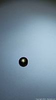 Photo of a polished black star sapphire gemstone showing a 6-ray star pattern on a plain background under lighting.