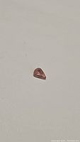 Pear cut padparadscha sapphire loose gemstone on plain background, showing shape and color