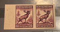 Front view of a pair of imperforate Newfoundland 5 cent postage proof stamps depicting caribou in natural setting.