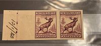 Full view of the pair of imperforate 5 cent Newfoundland caribou stamps with wide margin on left showing handwritten marking.