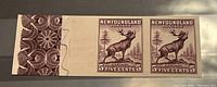 Pair of imperforate Newfoundland 5 cent caribou postage stamps with left sheet margin showing detailed brown lathe pattern.