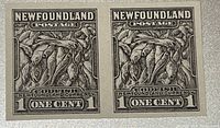 Front view of two black Newfoundland postage stamps printed as a book end paper proof, showing codfish design and denomination of 1 cent.