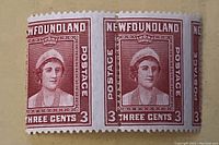 Pair of reddish-brown Newfoundland 3 cent stamps #255 featuring a woman's portrait with clear misperforation cutting deeply into the left stamp edges.