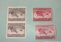 Photo showing two imperforate black proof stamps paired together, with detailed Northern Seal pup illustration and denomination 15 cents.