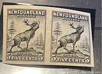 Front view of imperforate pair of 5 cent Black Caribou Newfoundland stamps showing detailed black print and design.