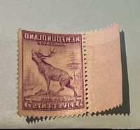 Close-up photo of the 5 cent Newfoundland caribou stamp showing the offset error in purple ink reversed on the gum side, with perforated edges and blank selvage on the right.