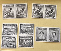 Lot arranged on yellow paper showing pairs of imperforate black Newfoundland stamp proofs with caribou, salmon, fishing boats, and Duchess of York.