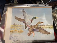 Print depicting male and female mallard ducks in flight over a marsh, signed 'Angus Shortt' and 'Angus H. Shortt'