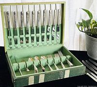 Full view of the 46-piece Wood Rose pattern silverplate flatware neatly organized inside a green fabric-lined box, showing knives set in the upper compartment and other utensils below.