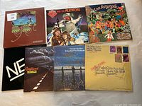 All 7 vinyl albums laid out showing front covers including Doctor Who and The Pescatons, Kaftwerk Exceller 8, Echo and The Bunnymen Heaven Up Here signed copy, The Tea Symphony colorful cover, Yessongs with a stylized design, New! black cover with white letters, and The Bunnymen in black.