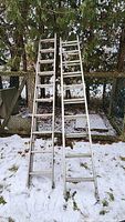 Pair of aluminum extension ladders standing upright against a fence in a snowy outdoor environment, showing the full length and structure of each ladder.
