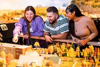 Three adults enjoying and pointing at a detailed miniature model with buildings and fall-colored trees.