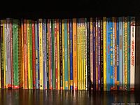 First photo shows approximately 25 children and adolescent novels lined up on a shelf, colorful variety of book spines.