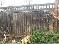 Three small metal trellises positioned against a wooden fence in a garden area with some plants and fallen leaves.
