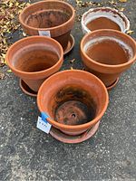 Five terracotta clay pots with matching saucers arranged outside, showing weathering and water stains inside and out.