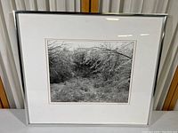 Framed black and white photo print displaying icy winter landscape with frosted field and branches, captured with detail.