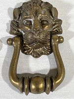 Close-up of the brass lion head door knocker showing detailed facial features and attached ring.