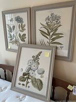 Three framed botanical wall art prints leaning against a wall, showcasing detailed floral illustrations inside light grey frames with glass cover.