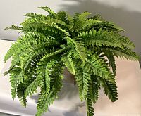 Top view of lush green artificial fern with textured leaves spread out