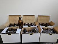 Boxes containing multiple amber glass bottles with black lotion pump tops, arranged in an array of six boxes, each holding several bottles wrapped in plastic.