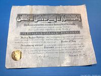 Full view of the diploma showing all printed text and the gold embossed seal on the bottom left corner