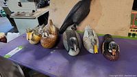Photo showing six bird decoys lined up on a table, including the large black loon on the right and multi-colored wooden ducks on the left.