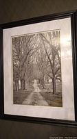 Front view of the framed black and white photograph showing a wooded dirt laneway with leafless trees on both sides.