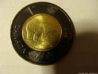 Photo of one 2022 Canadian Toonie featuring a polar bear on ice floe. Bi-metallic coin with brass-colored center and silver-colored outer ring.