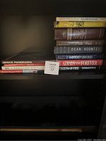 Books on a black shelf, showing a stack and a row of books with varied colors and titles including novels and photographic books.