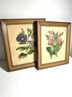 Two vintage framed floral art prints with botanical illustrations, showing purple and pink flowers.
