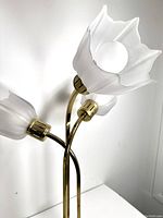 Close-up photo showing frosted glass flower-shaped lampshades and brass arms of the lamp.