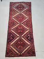 Full top view of the runner rug showing overall pattern, color and dimensions