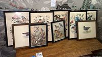 Overview photo of 9 framed bird prints on wooden surface against wallpaper, showing variety of bird species and frame styles.